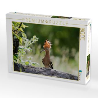 Produktbild: CALVENDO Puzzle Wiedehopf | 1000 Teile Lege-Gr&ouml;&szlig;e 64x48cm Foto-Puzzle f&uuml;r gl&uuml;ckliche Stunden