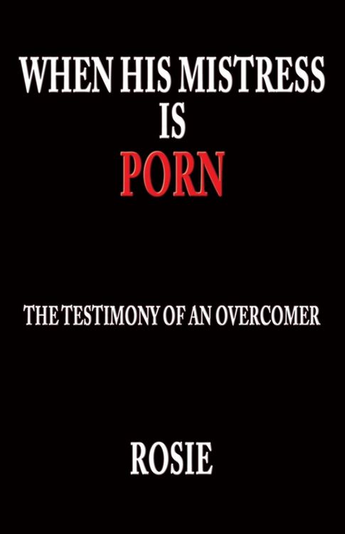 Produktbild: When His Mistress Is Porn