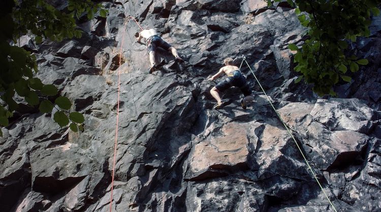 Produktbild: Die H&ouml;hle (OmU)