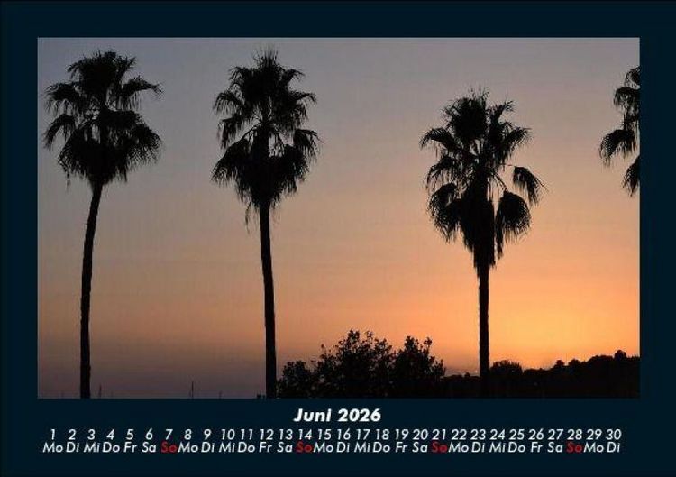 Produktbild: Palmentraum 2026 Fotokalender DIN A5