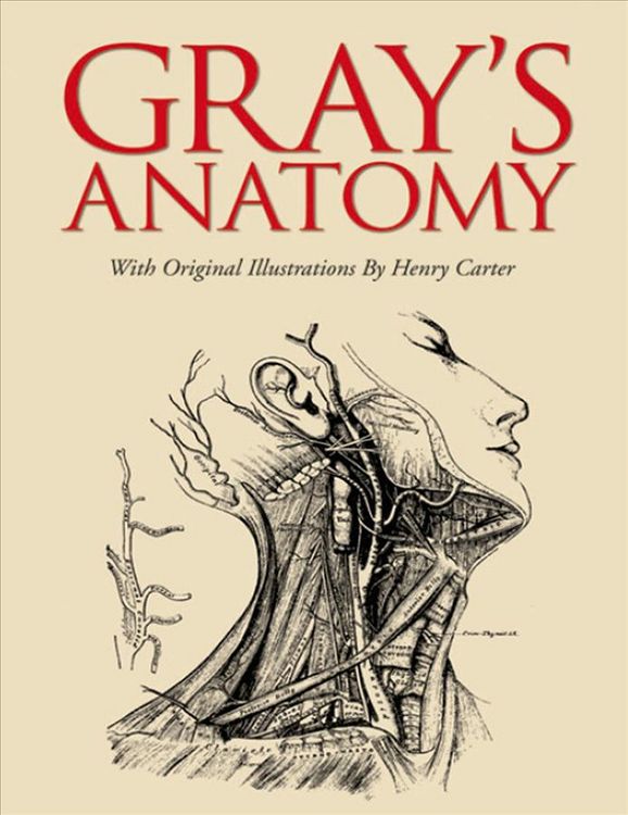 Produktbild: Gray's Anatomy