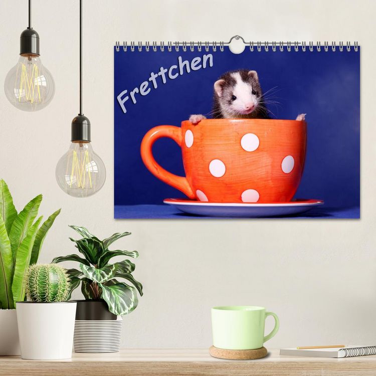 Produktbild: Frettchen - Ferrets (Wandkalender 2026 DIN A4 quer), CALVENDO Monatskalender