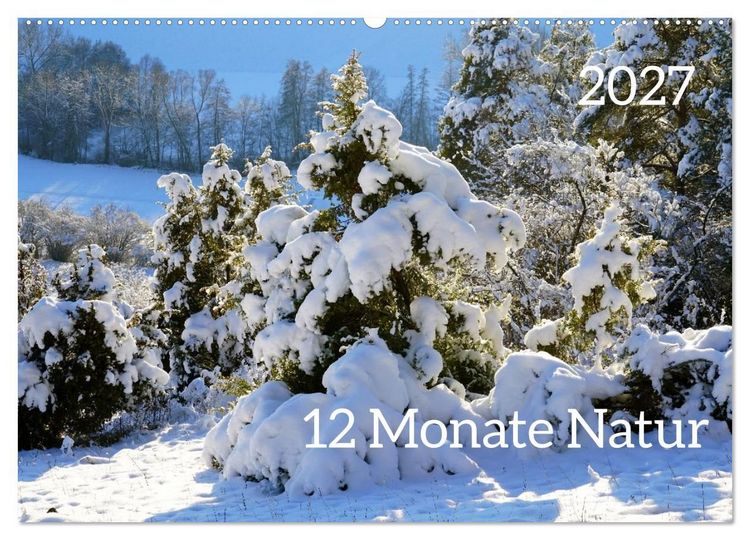 Produktbild: 12 Monate Natur (Wandkalender 2027 DIN A2 quer), CALVENDO Monatskalender