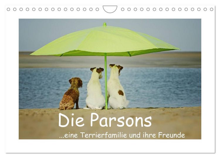 Produktbild: Die Parsons (Wandkalender 2026 DIN A4 quer), CALVENDO Monatskalender
