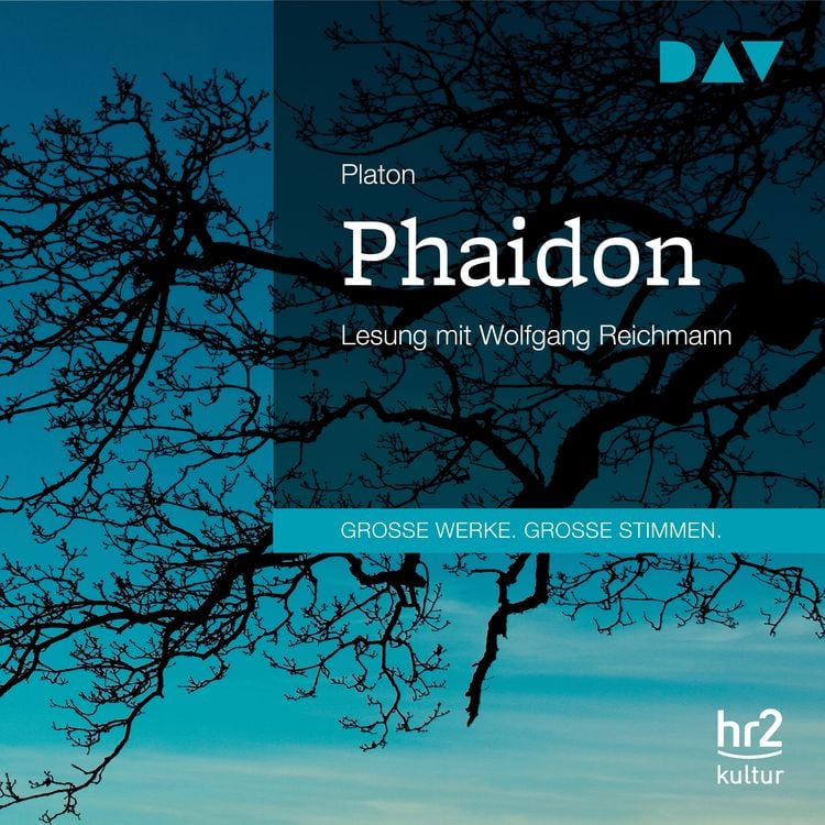 Bild vom Artikel Phaidon vom Autor Platon