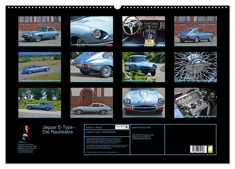 Produktbild: Jaguar E-Type - Die Raubkatze (Wandkalender 2026 DIN A2 quer), CALVENDO Monatskalender