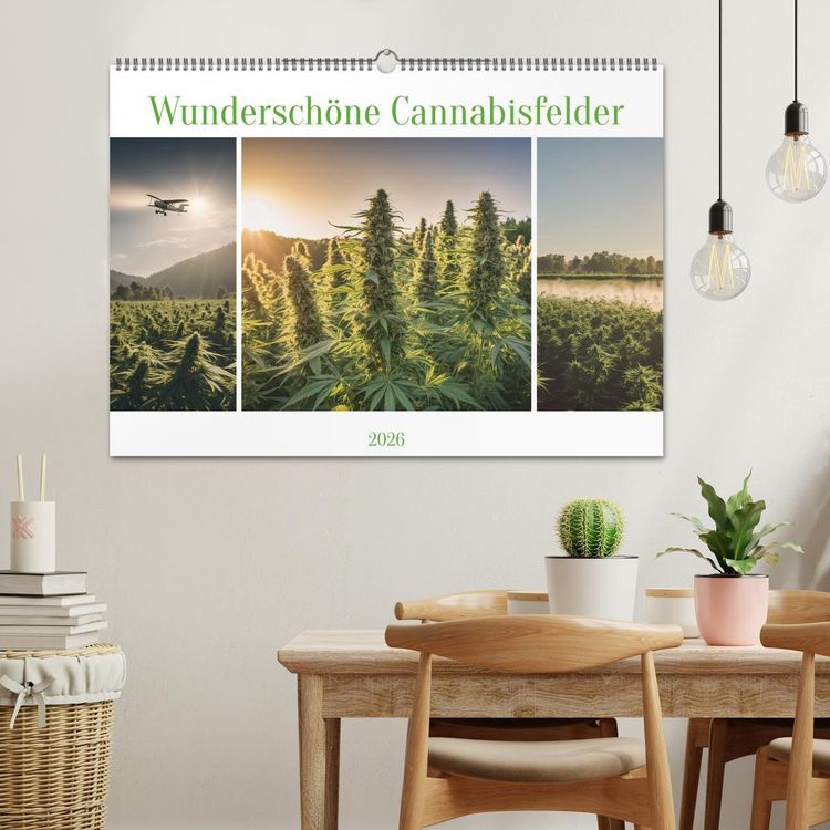 Produktbild: Wundersch&ouml;ne Cannabisfelder (Wandkalender 2026 DIN A2 quer), CALVENDO Monatskalender