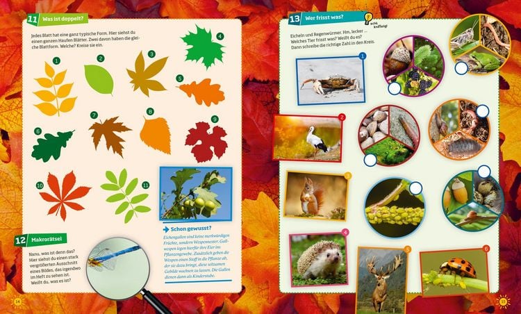 Produktbild: WAS IST WAS R&auml;tseln und Stickern: Natur