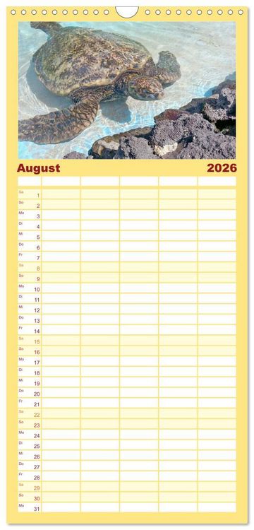 Produktbild: Familienplaner 2026 - Schildkr&ouml;ten - Gepanzerte Urzeitwesen mit 5 Spalten (Wandkalender, 21 x 45 cm) CALVENDO