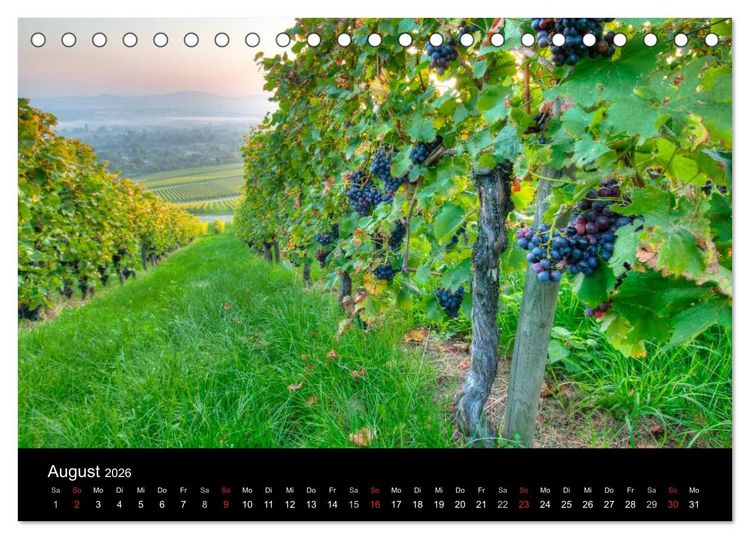 Produktbild: Weinberge im Remstal (Tischkalender 2026 DIN A5 quer), CALVENDO Monatskalender