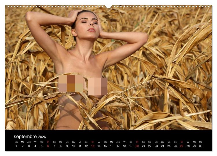 Produktbild: Beaut&eacute;s hongroises (Calendrier mural 2026 DIN A2 vertical) calendrier de bureau