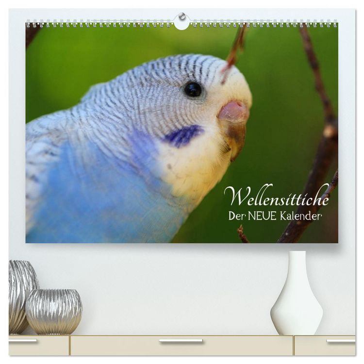 Produktbild: Wellensittiche - der NEUE Kalender (hochwertiger Premium Wandkalender 2026 DIN A2 quer), Kunstdruck in Hochglanz