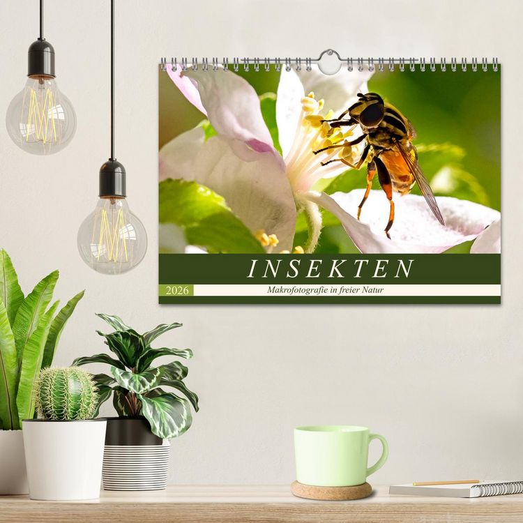Produktbild: INSEKTEN - Makrofotografie in freier Natur (Wandkalender 2026 DIN A4 quer), CALVENDO Monatskalender