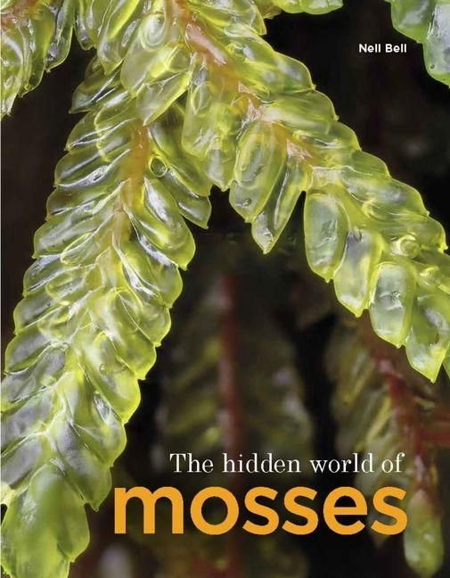 Produktbild: The Hidden World of Mosses