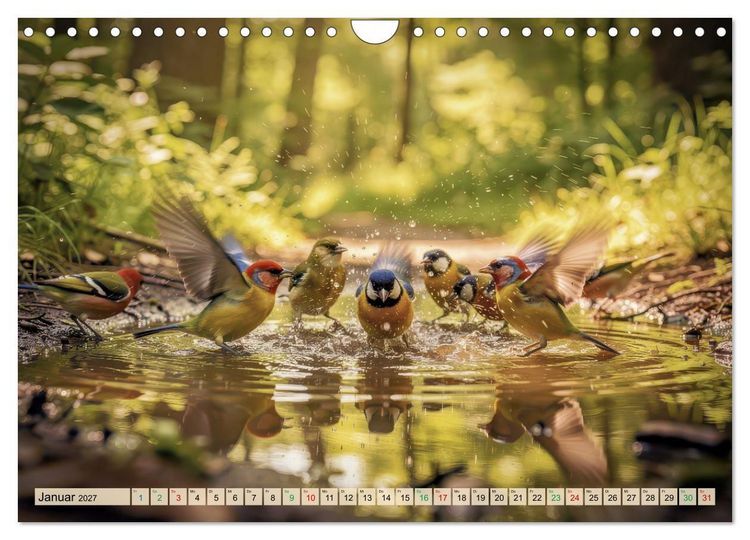 Produktbild: Farbenfrohe Singv&ouml;gel beim Baden (Wandkalender 2027 DIN A4 quer), CALVENDO Monatskalender