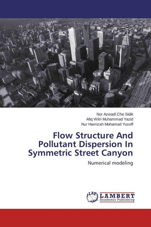 Produktbild: Flow Structure And Pollutant Dispersion In Symmetric Street Canyon
