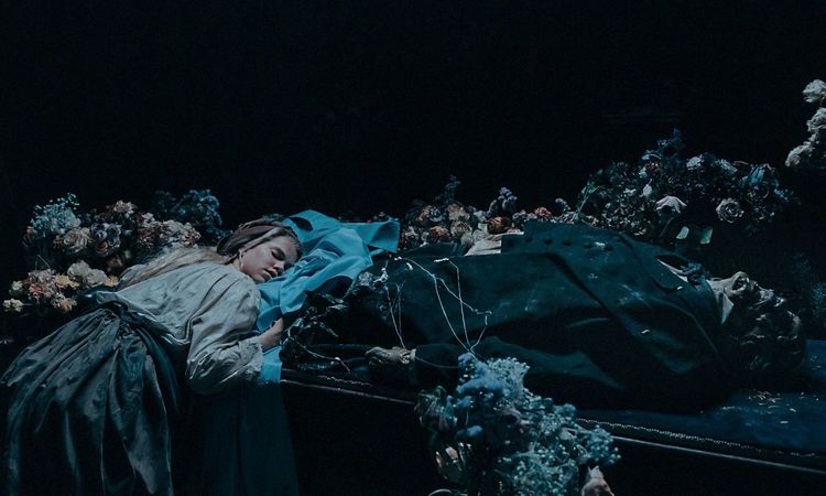 Produktbild: The Ugly Stepsister