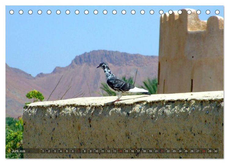 Produktbild: Oman - Eine Bilder-Reise (Tischkalender 2026 DIN A5 quer), CALVENDO Monatskalender