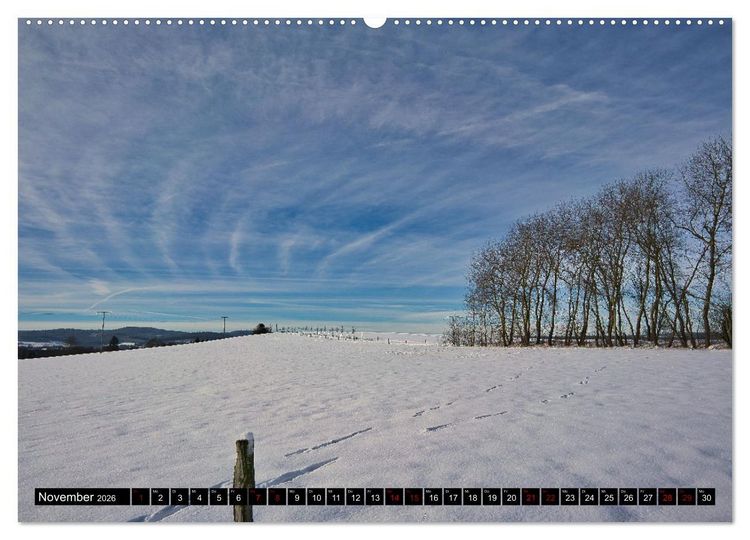 Produktbild: Im Th&uuml;ringer Wald (Wandkalender 2026 DIN A2 quer), CALVENDO Monatskalender