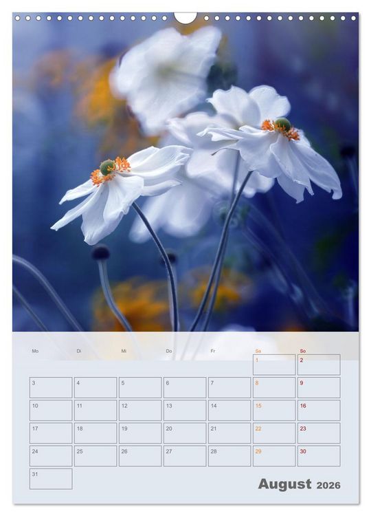 Produktbild: Magie im Garten (Wandkalender 2026 DIN A3 hoch), CALVENDO Monatskalender