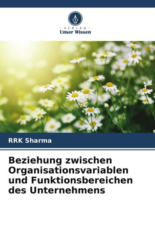Produktbild: Beziehung zwischen Organisationsvariablen und Funktionsbereichen des Unternehmens