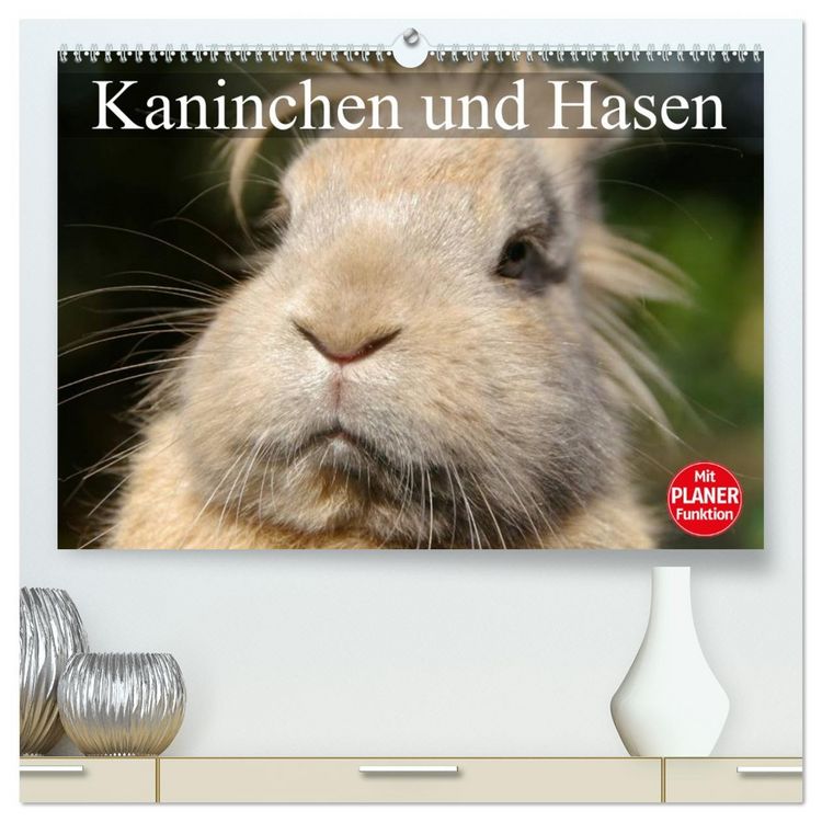 Produktbild: Kaninchen und Hasen (hochwertiger Premium Wandkalender 2026 DIN A2 quer), Kunstdruck in Hochglanz