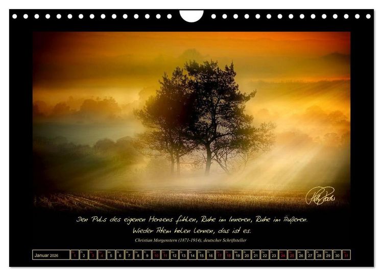 Produktbild: Sonnenmomente und Lebensweisheiten (Wandkalender 2026 DIN A4 quer), CALVENDO Monatskalender