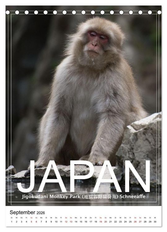Produktbild: Japan PosterArt 2024 (Tischkalender 2026 DIN A5 hoch), CALVENDO Monatskalender