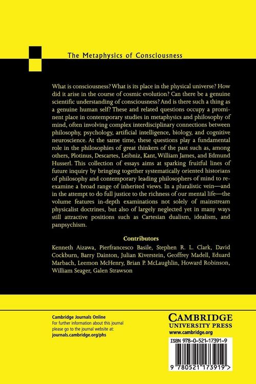 Produktbild: The Metaphysics of Consciousness