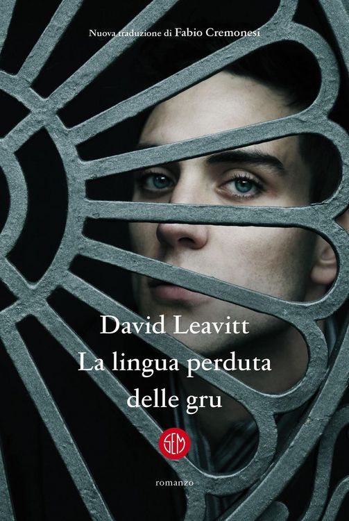 Produktbild: La lingua perduta delle gru