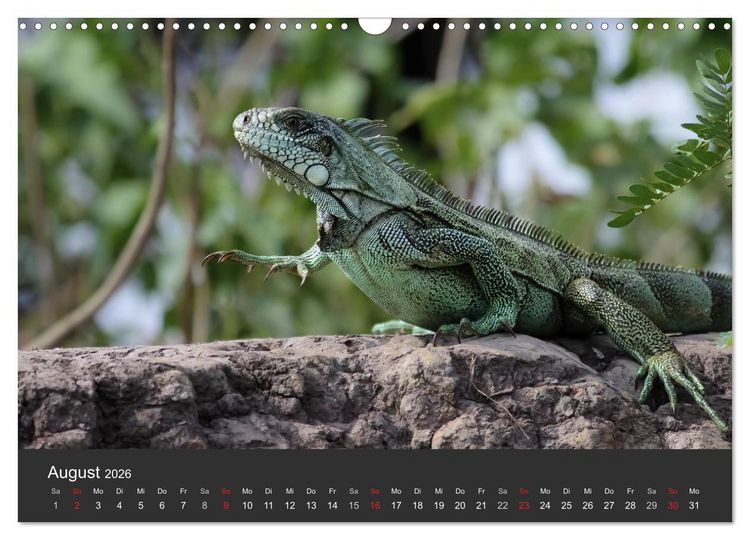 Produktbild: Wildlife Pantanal 2026 (Wandkalender 2026 DIN A3 quer), CALVENDO Monatskalender