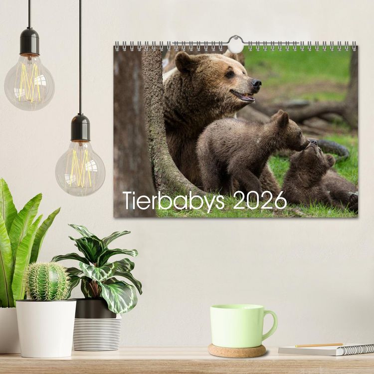 Produktbild: Tierbabys 2026 (Wandkalender 2026 DIN A4 quer), CALVENDO Monatskalender