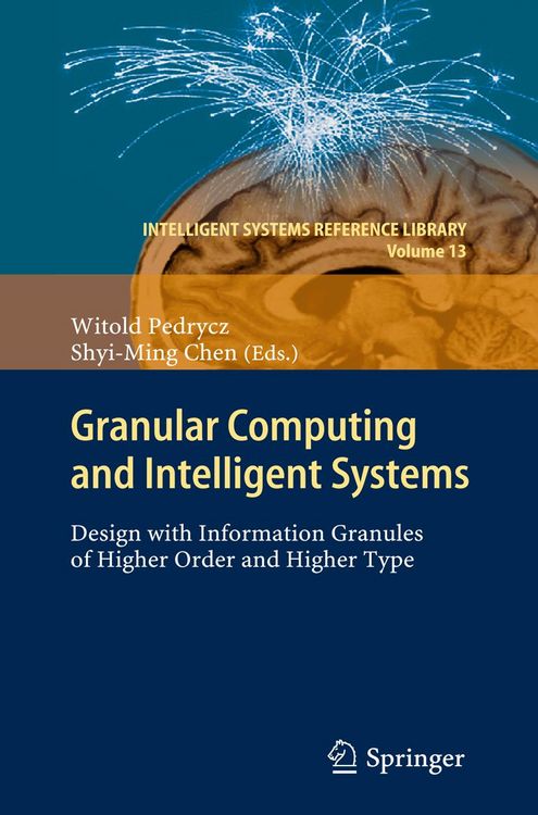 Produktbild: Granular Computing and Intelligent Systems