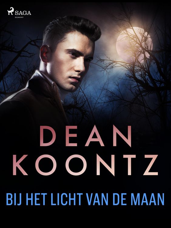 Produktbild: Bij het licht van de maan