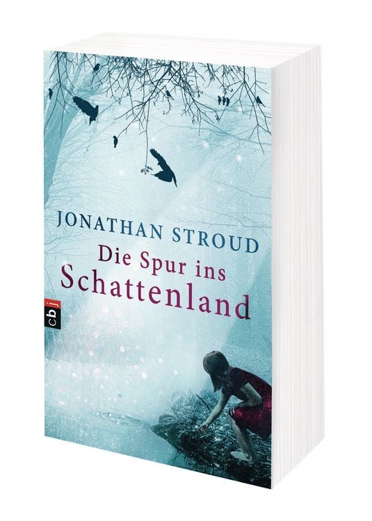 Produktbild: Die Spur ins Schattenland