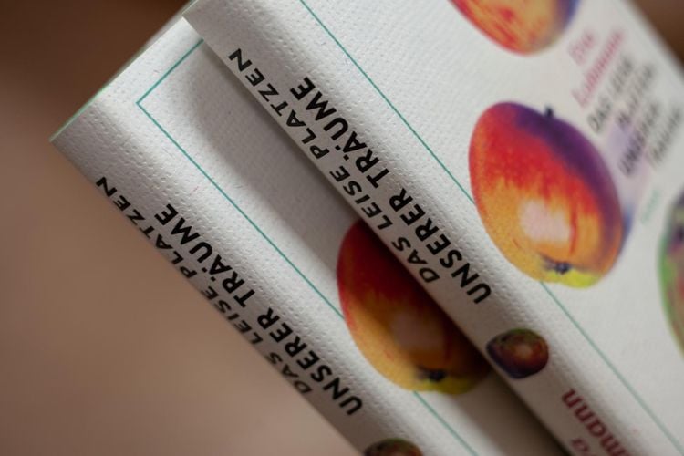 Produktbild: Das leise Platzen unserer Tr&auml;ume