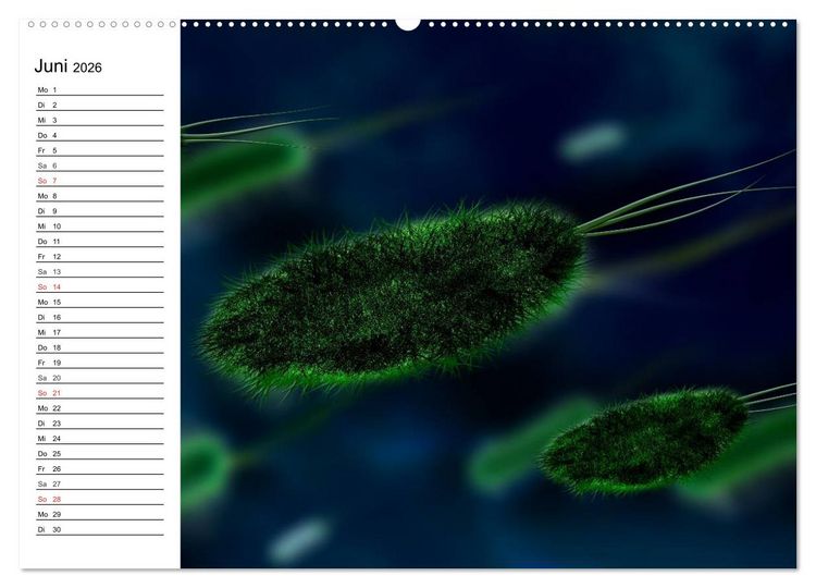 Produktbild: Mikrobiologie. Mikroorganismen, Genetik und Zellen (hochwertiger Premium Wandkalender 2026 DIN A2 quer), Kunstdruck in Hochglanz