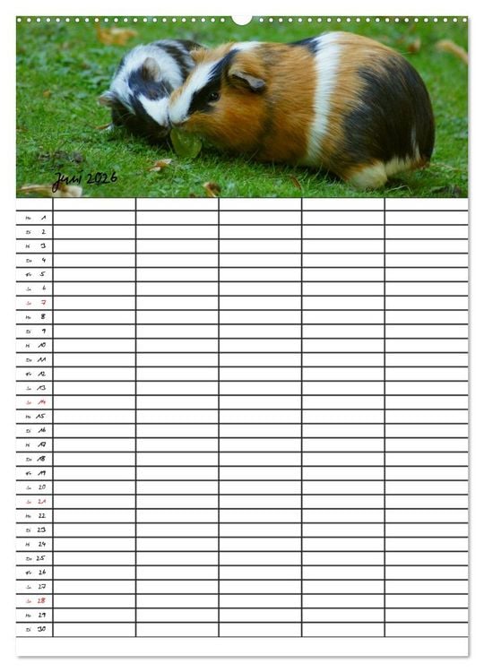 Produktbild: Meerschweinchen und Kaninchen Familienplaner (hochwertiger Premium Wandkalender 2026 DIN A2 hoch), Kunstdruck in Hochglanz