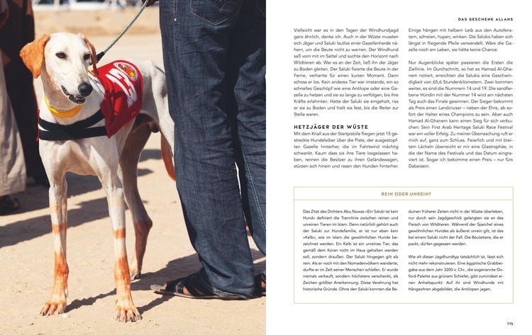 Produktbild: Gef&auml;hrte Hund