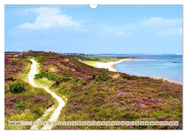Produktbild: SYLT D&uuml;nenwege (Wandkalender 2026 DIN A3 quer), CALVENDO Monatskalender