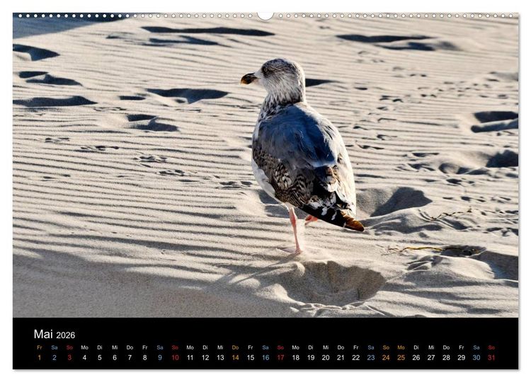 Produktbild: Warnem&uuml;nde - Maritime Landschaften (Wandkalender 2026 DIN A2 quer), CALVENDO Monatskalender