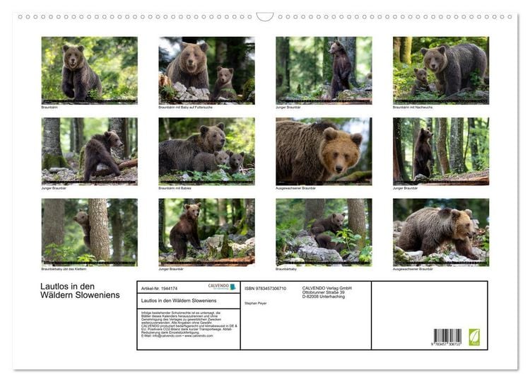 Produktbild: Lautlos in den W&auml;ldern Sloweniens (Wandkalender 2026 DIN A2 quer), CALVENDO Monatskalender