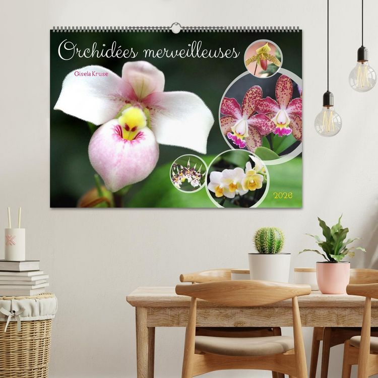 Produktbild: Orchid&eacute;es merveilleuses (Calendrier mural 2026 DIN A2 vertical), CALVENDO calendrier mensuel