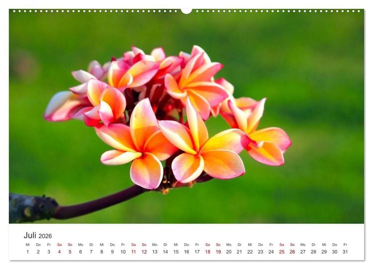 Produktbild: ZEN - Eine Reise zu sich selbst (hochwertiger Premium Wandkalender 2026 DIN A2 quer), Kunstdruck in Hochglanz