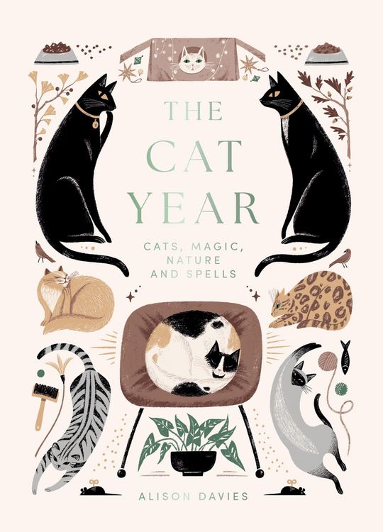Produktbild: The Cat Year