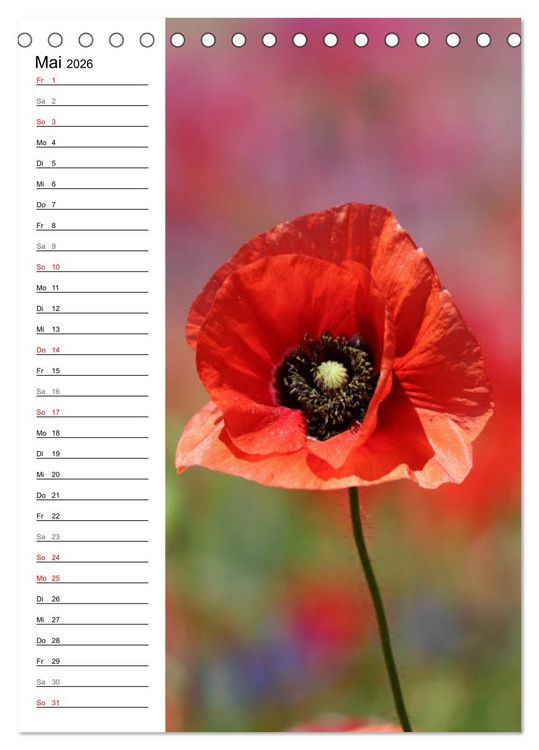 Produktbild: Mohn, zarte Bl&uuml;ten, starke Farben, der Geburtstagskalender (Tischkalender 2026 DIN A5 hoch), CALVENDO Monatskalender