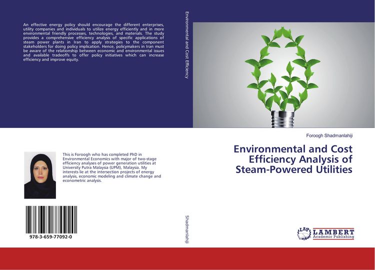 Produktbild: Environmental and Cost Efficiency Analysis of Steam-Powered Utilities