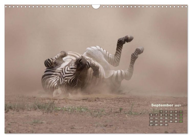 Produktbild: WILDE TIERE IN AKTION (Wandkalender 2027 DIN A3 quer), CALVENDO Monatskalender