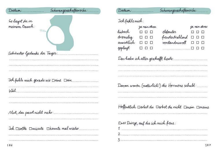 Produktbild: Tagebuch - Meine Schwangerschaft