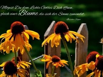 Produktbild: CALVENDO Puzzle Blickrichtung Sonne | 1000 Teile Lege-Gr&ouml;&szlig;e 64x48cm Foto-Puzzle f&uuml;r gl&uuml;ckliche Stunden